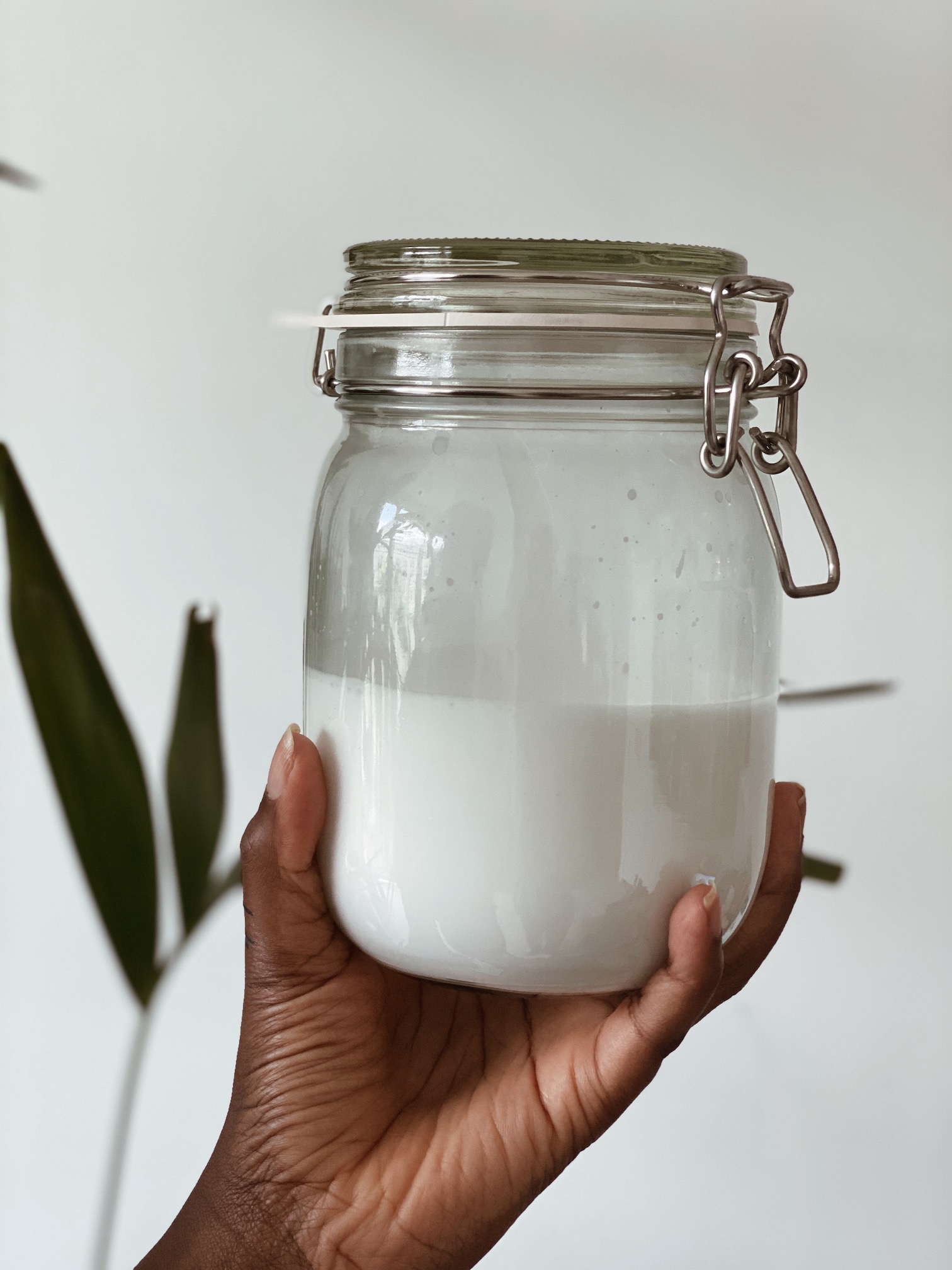 How to make your own super easy homemade coconut milk? – Adjuma Tribe